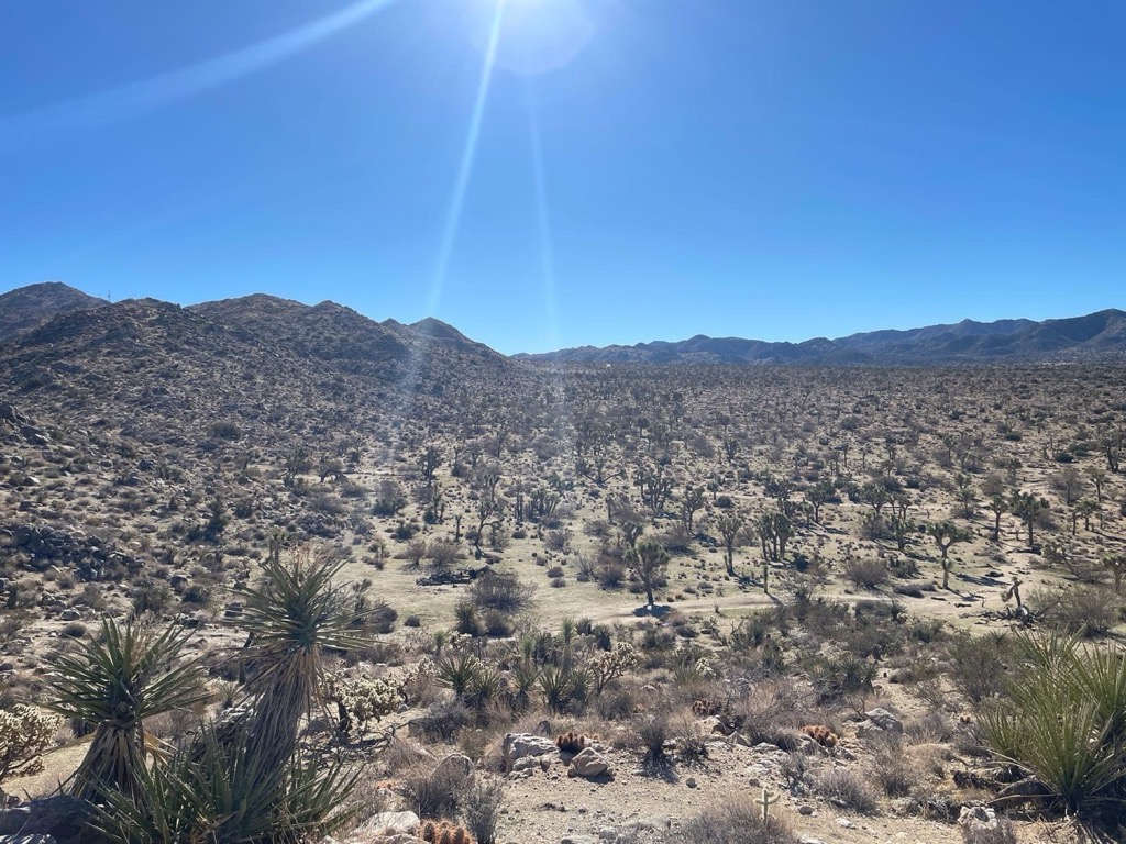Andy McKee and Antoine Dufour