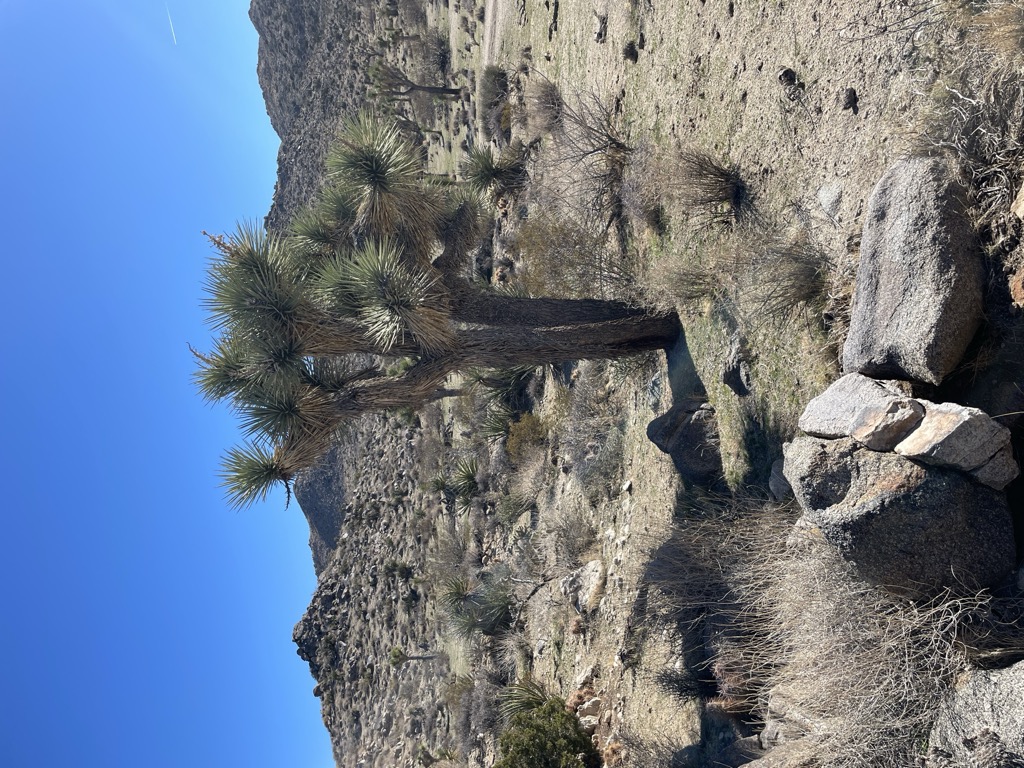 Unforgetable Pictures