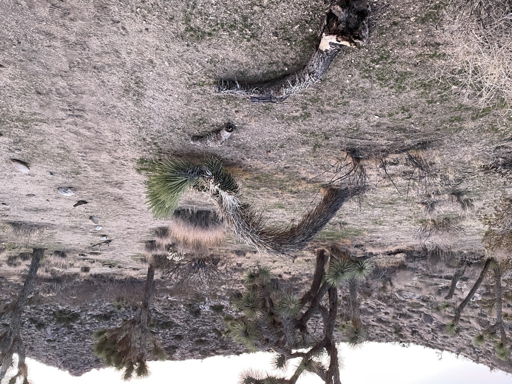 Cooper Design / Strategy.