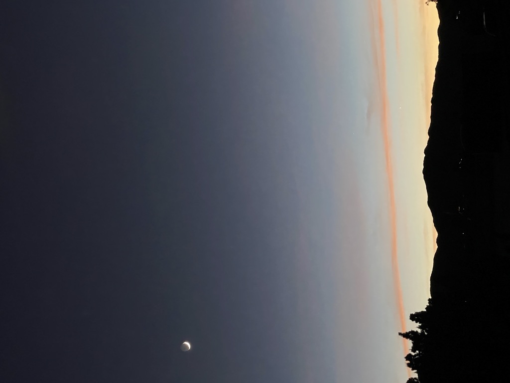 The job posting that wasn't